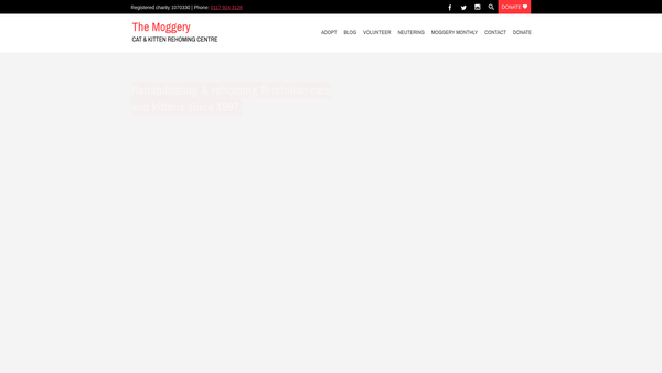 Screenshot of the The Moggery Rehoming Centre website