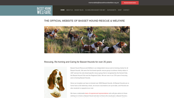 Screenshot of the Basset Hound Welfare website