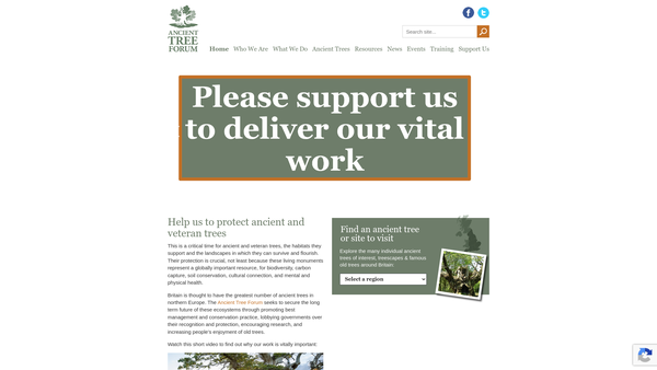Screenshot of the Ancient Tree Forum website