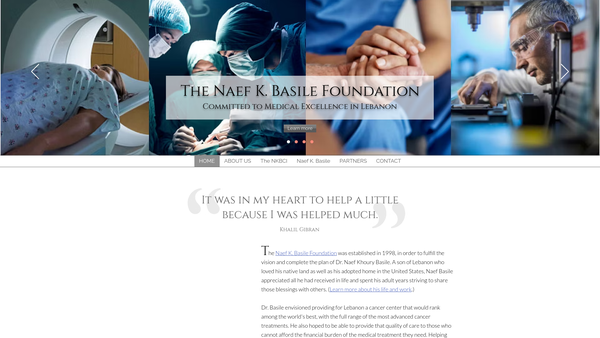 Screenshot of the The Naef K. Basile Foundation website