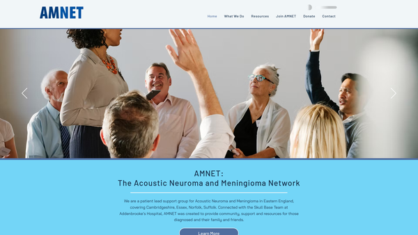 Screenshot of the The Acoustic Neuroma And Meningioma Network ( Amnet ) website