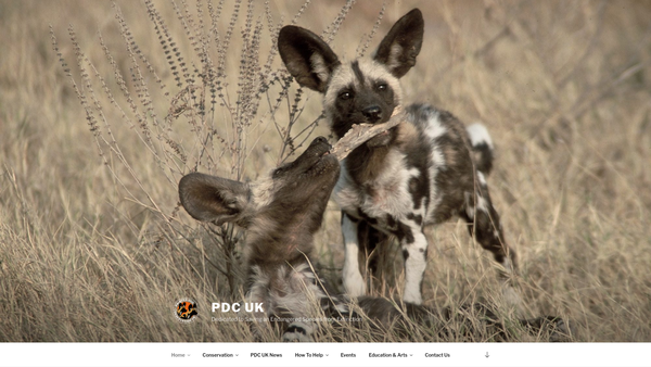 Screenshot of the Painted Dog Conservation UK website