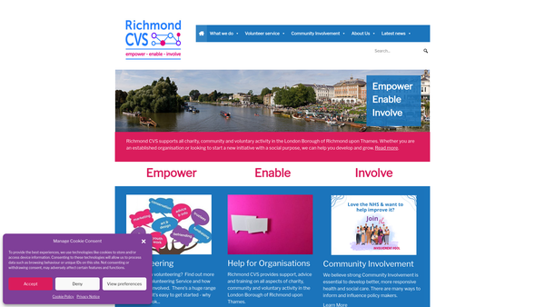 Screenshot of the The Richmond Upon Thames Council For Voluntary Service website