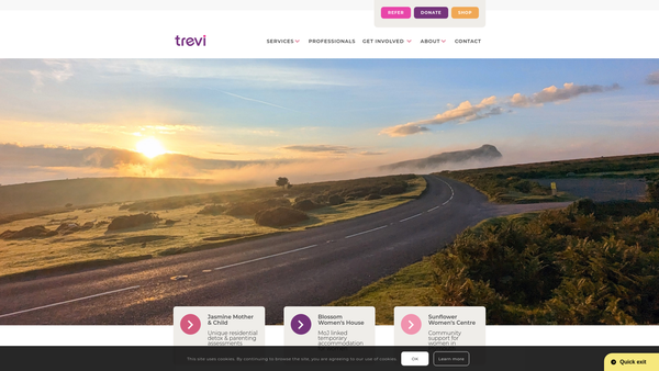 Screenshot of the Trevi Women Ltd website