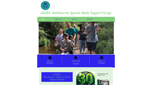Screenshot of the Wings (Wombourne Special Needs Support Group) website