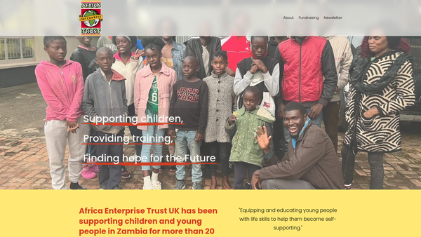 Screenshot of the Africa Enterprise Trust website