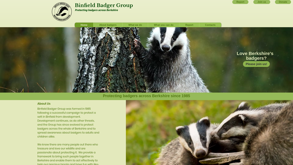 Screenshot of the Binfield Badger Group website
