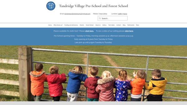 Screenshot of the Tandridge Village Pre-School website
