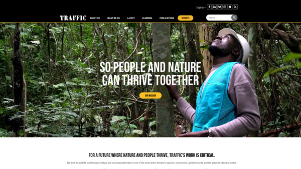 Screenshot of the Traffic International website