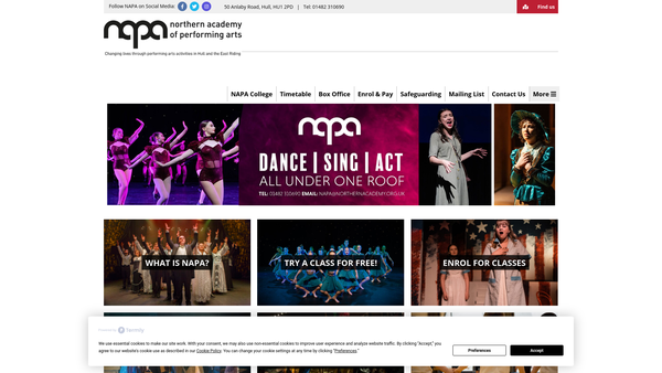 Screenshot of the Northern Academy Of Performing Arts Educational Trust website