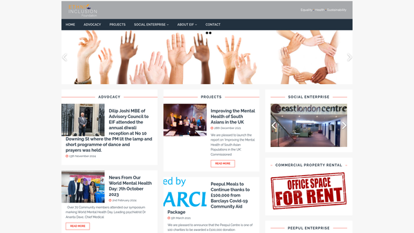 Screenshot of the The Ethnic Inclusion Foundation website