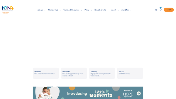 Screenshot of the National Day Nurseries Association website