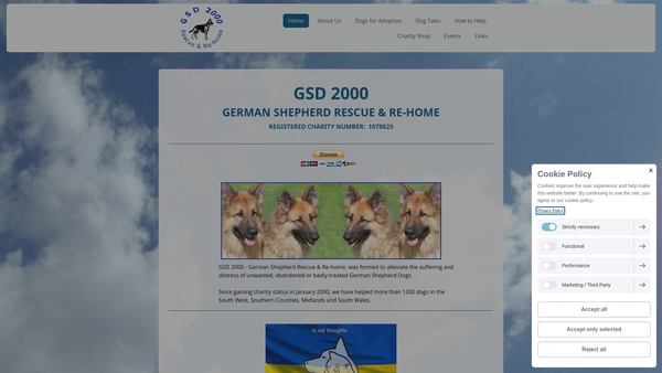 Screenshot of the Gsd 2000 website