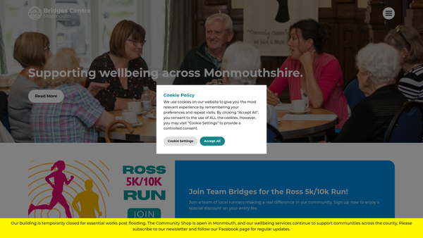 Screenshot of the Bridges Centre website