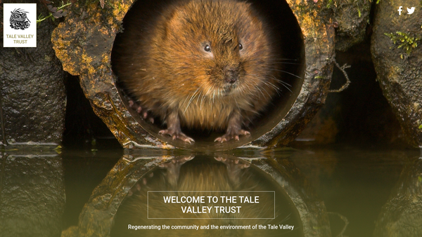 Screenshot of the Tale Valley Trust website