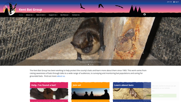 Screenshot of the Kent Bat Group ( Kbg ) website