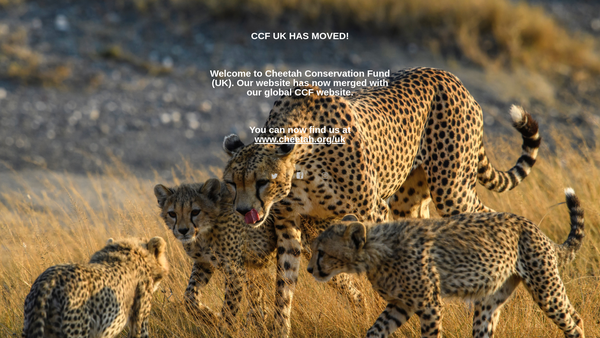 Screenshot of the Cheetah Conservation Fund - UK website