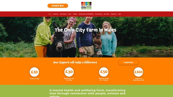 Screenshot of the Swansea Community Farm website