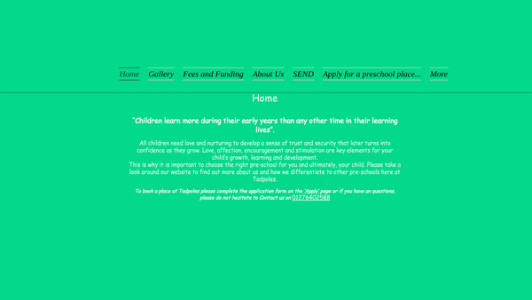 Screenshot of the Tadpoles Community Pre-School website