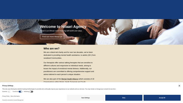 Screenshot of the Nilaari Agency website