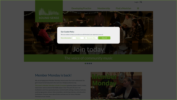 Screenshot of the Sound Sense website