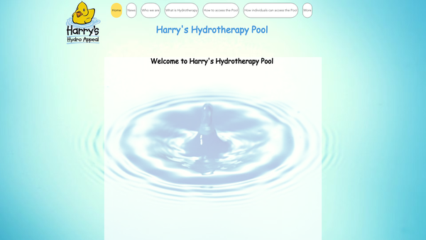 Screenshot of the Harry's Hydro Appeal website