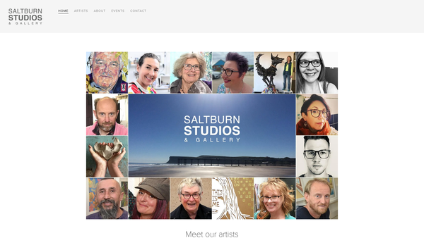 Screenshot of the Saltburn Artists Projects Ltd website