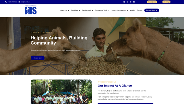 Screenshot of the Help In Suffering (UK) website