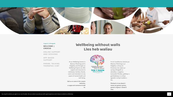 Screenshot of the Tan Y Maen Limited website