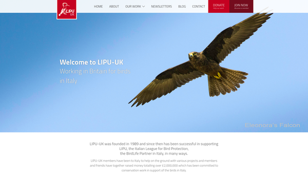 Screenshot of the Lipu-Uk website