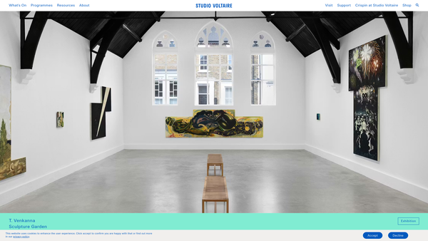 Screenshot of the Studio Voltaire website