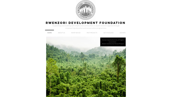 Screenshot of the The Rwenzori Development Foundation website