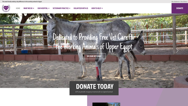 Screenshot of the Animal Care In Egypt Limited website