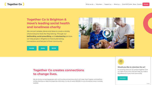 Screenshot of the Together Collective website
