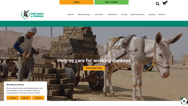 Screenshot of the Safe Haven For Donkeys In The Holy Land website