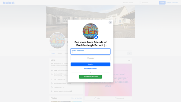 Screenshot of the Friends Of Buckfastleigh School website