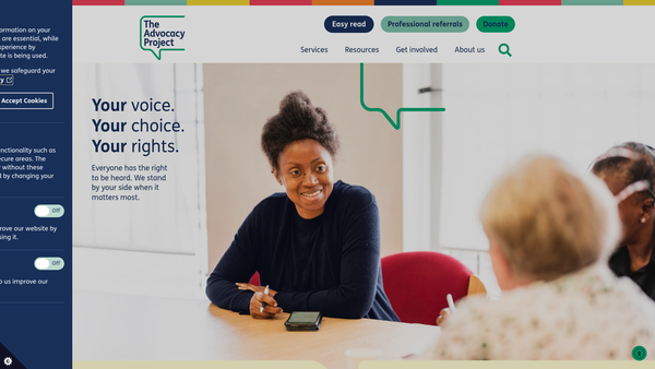 Screenshot of the The Advocacy Project website