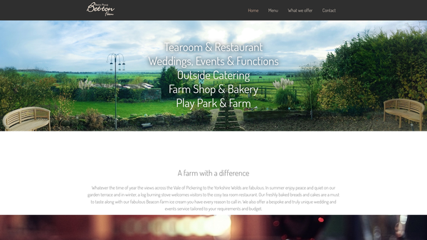 Screenshot of the Basics Plus website