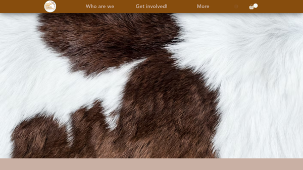 Screenshot of the Stepney Bank Stables Ltd website