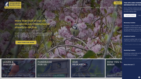 Screenshot of the Songbird Survival website