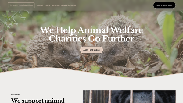 Screenshot of the The Anthony V Martin Charitable Foundation website