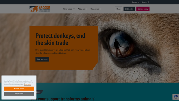 Screenshot of the The Brooke Hospital For Animals website