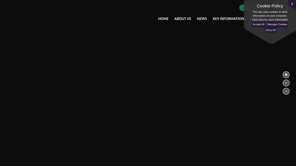 Screenshot of the Our Lady Of Grace Parent Teachers Association website