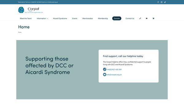Screenshot of the Corpal website