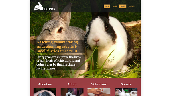 Screenshot of the Essex Cavy & Rat Rescue website