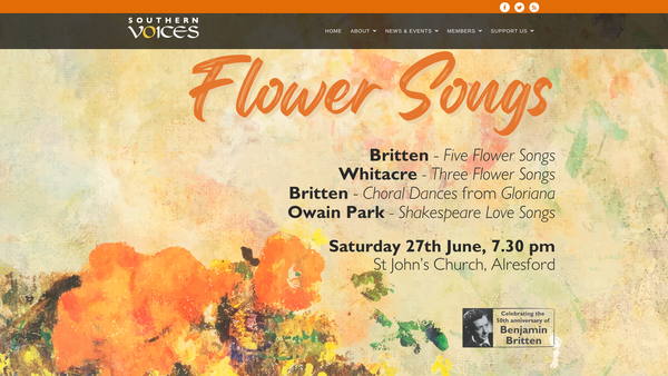 Screenshot of the Southern Voices website