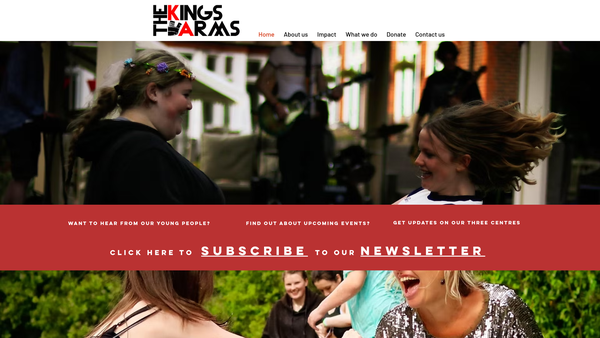 Screenshot of the The King's Arms Youth Project website