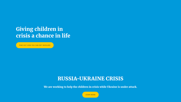 Screenshot of the New Beginnings-Homes For Street Children Of The World website