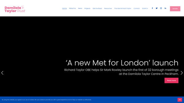 Screenshot of the Damilola Taylor Trust website