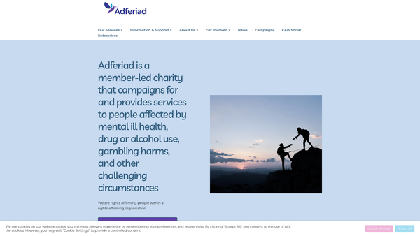 Screenshot of the Welsh Centre For Action On Dependency And Addiction Ltd website